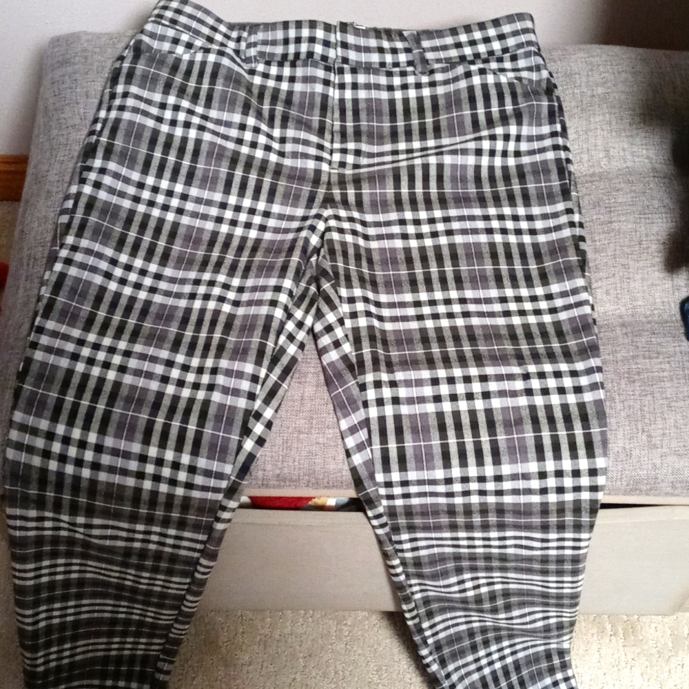 Pant